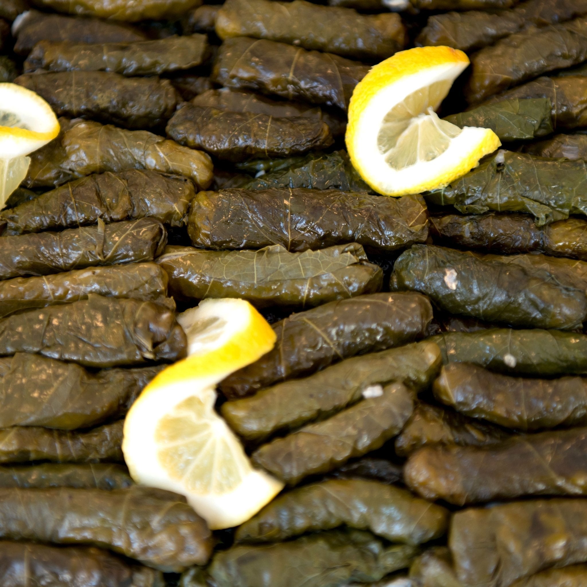 Dolma & Grape Leaves - soofercoinc