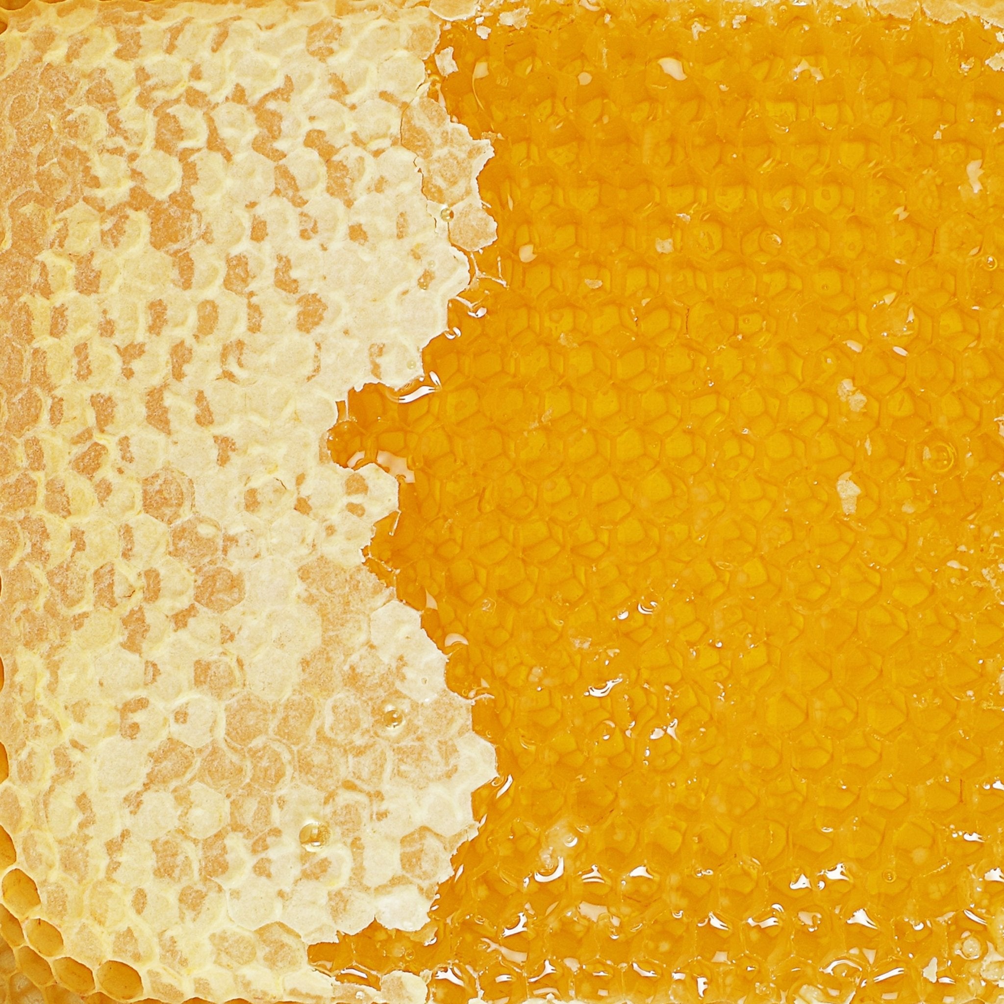 Honey - soofercoinc