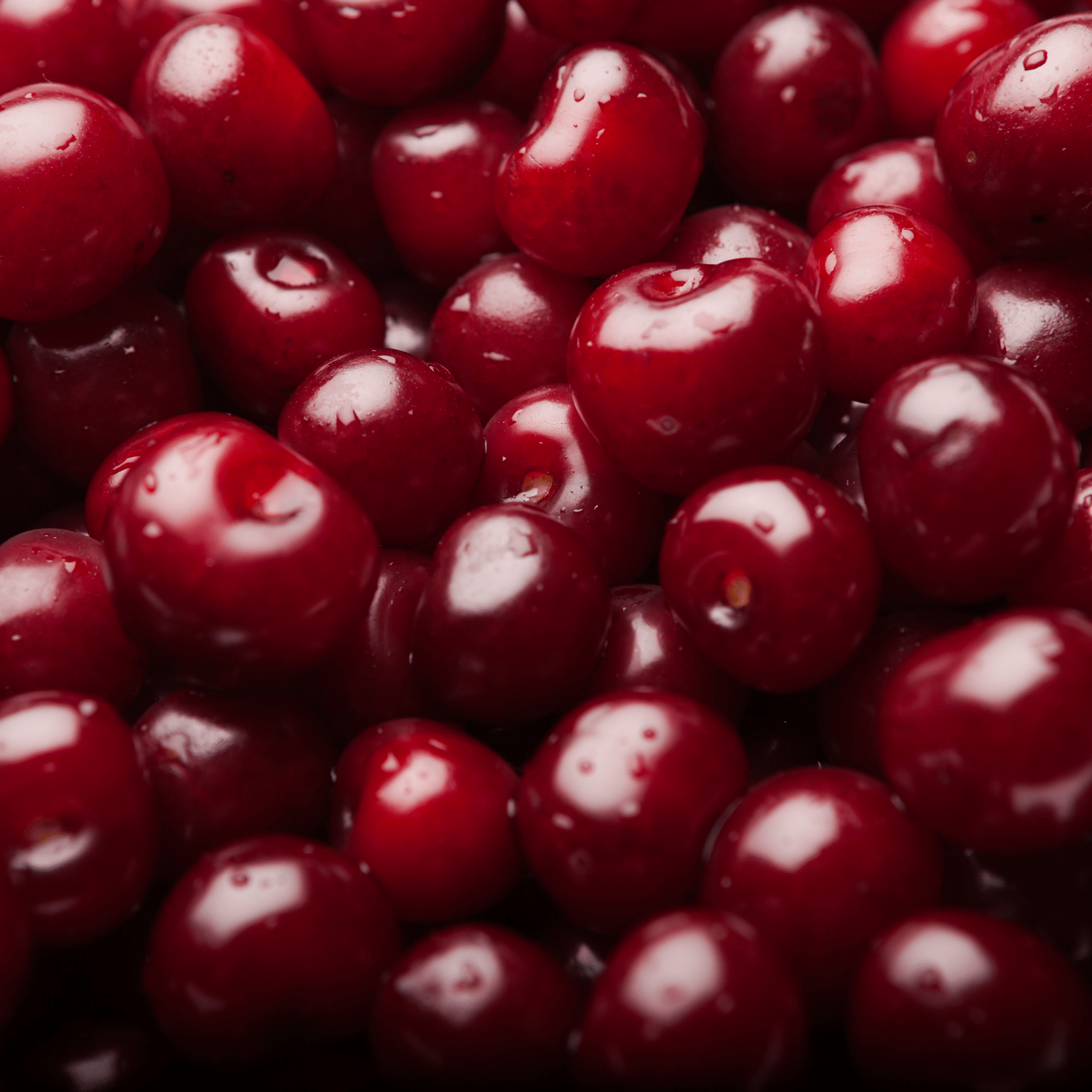 Sour Cherry - soofercoinc