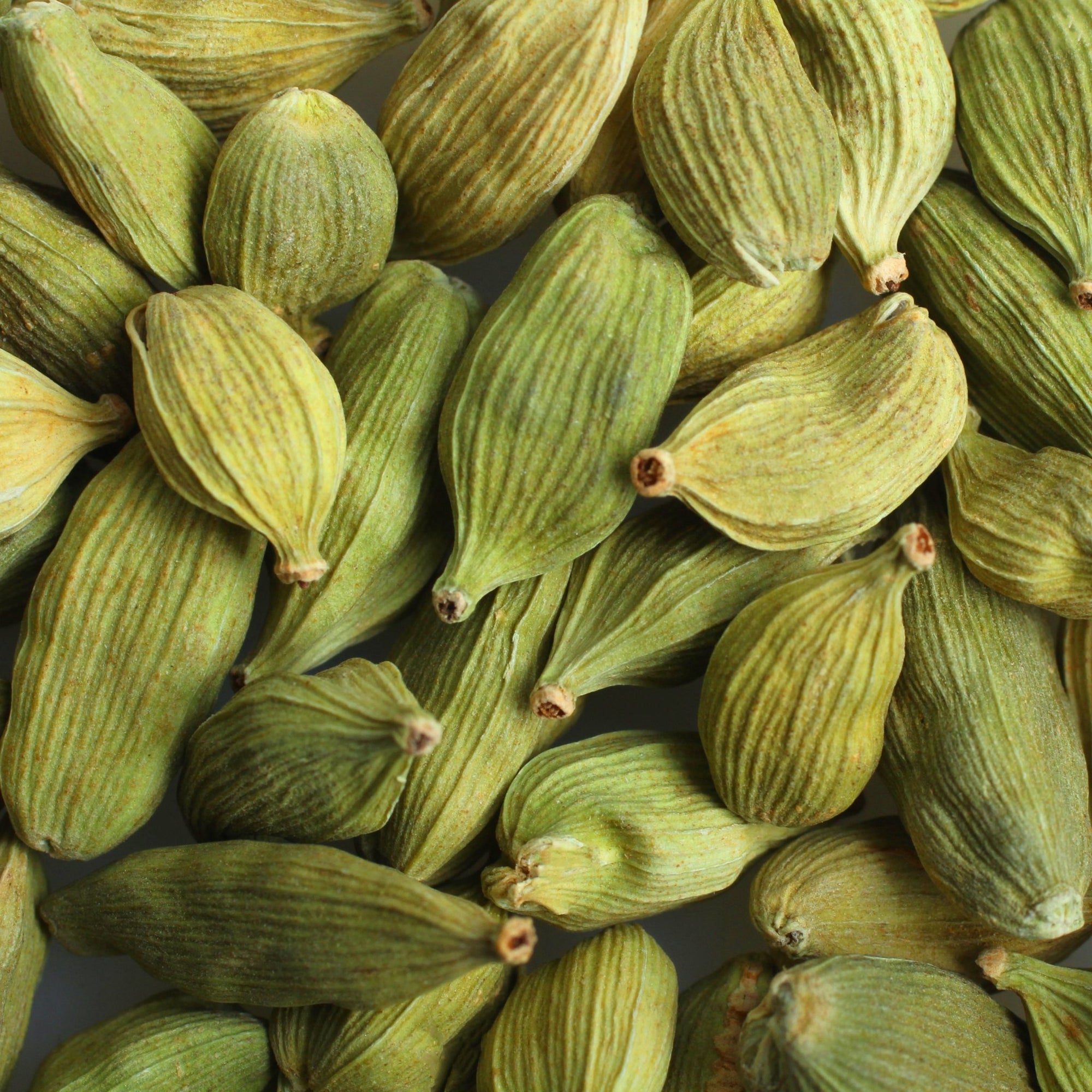 Cardamom - soofercoinc