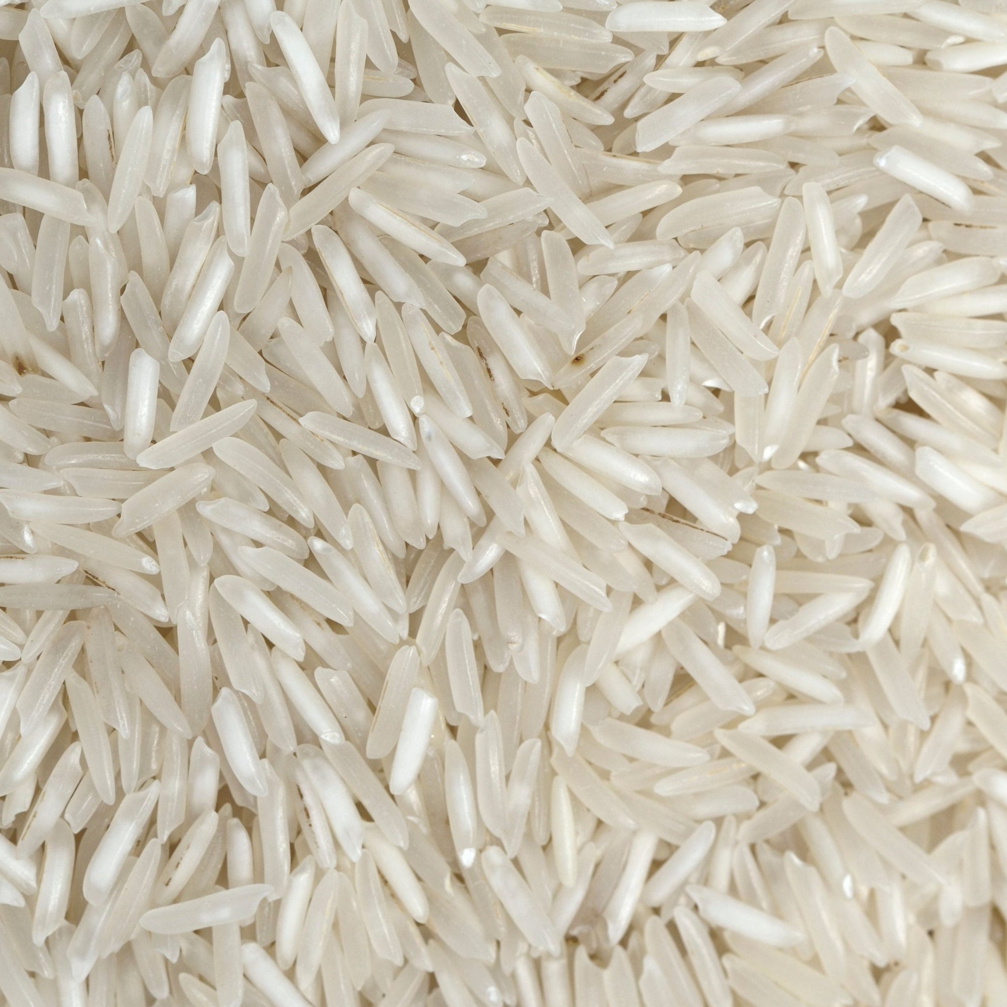 Rice - soofercoinc