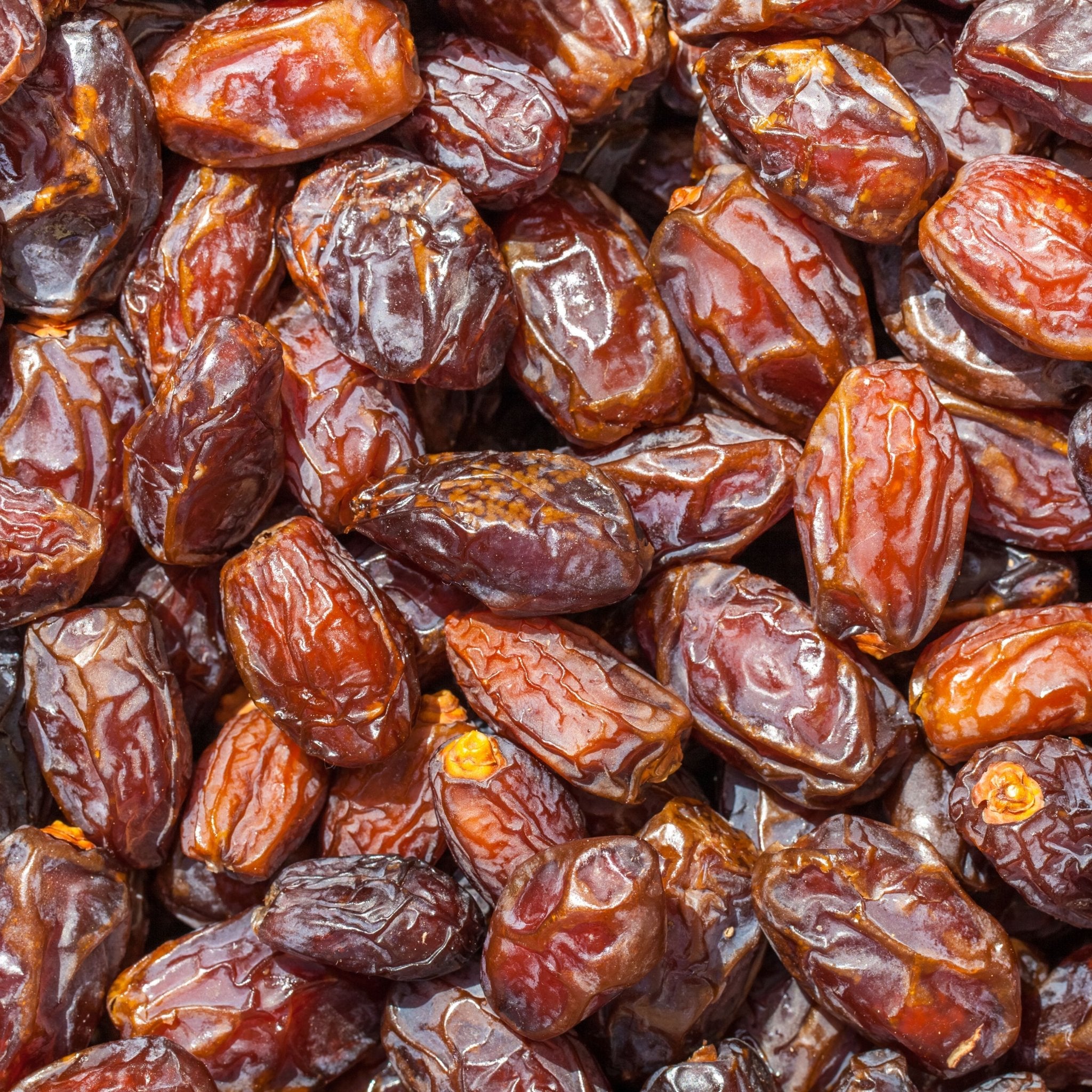 Dates - soofercoinc